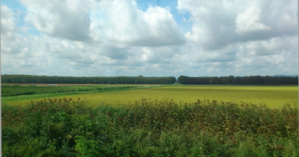 DSC_2563.2_1.jpg