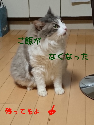 DSC_2600.2_a.jpg