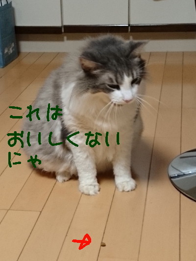 DSC_2601.2_a.jpg