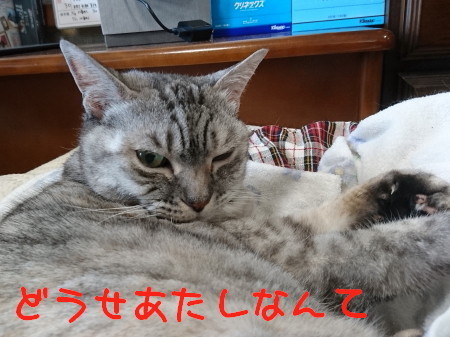 DSC_2749_a.jpg
