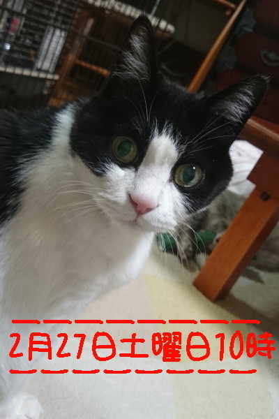 DSC_2790.1_a.jpg