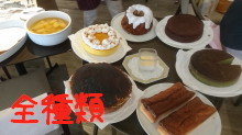 DSC_3328_a.jpg