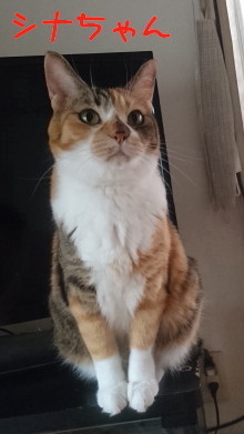 DSC_3417_1.jpg