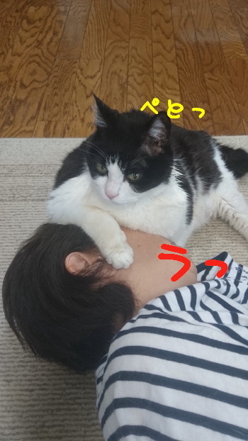 DSC_3433.2_a.jpg