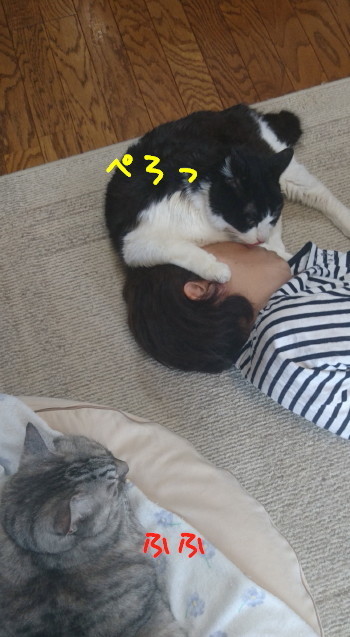 DSC_3438.1_a.jpg