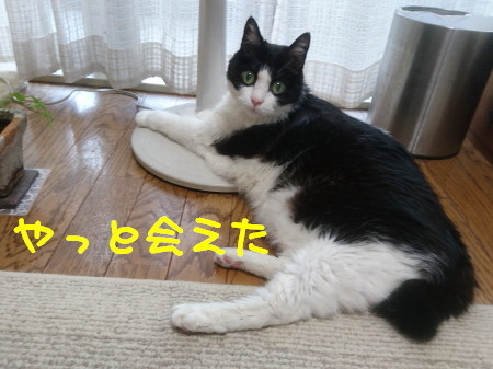 DSC_3529 -a.jpg