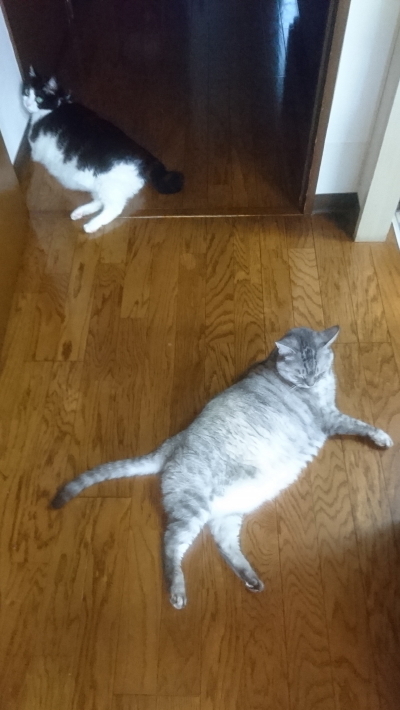 DSC_4222_1.jpg