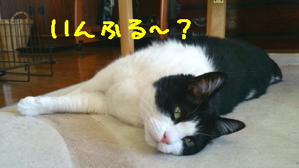 パス