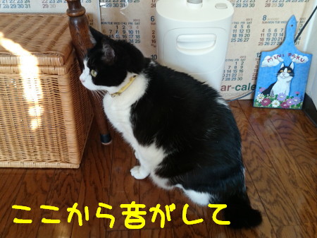 DSC_9491.1_a.jpg