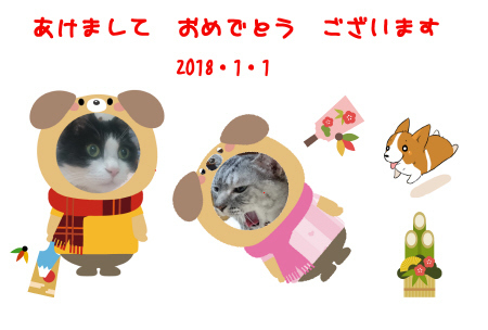デザイン着ぐるみ_1.jpg