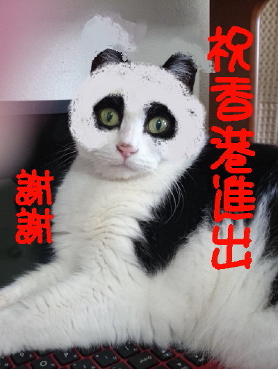 パンダ.1_1.jpg