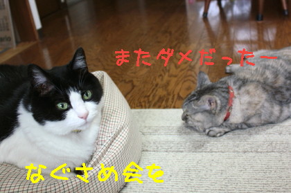 がっかり