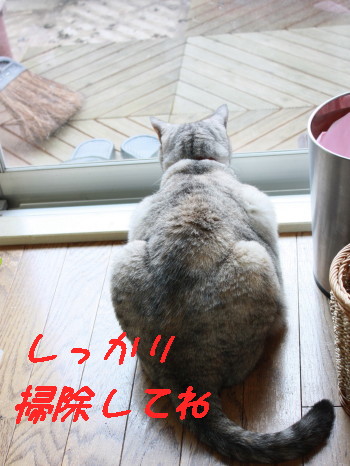 IMG_1232_a.jpg