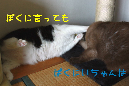 IMG_1629_a.jpg