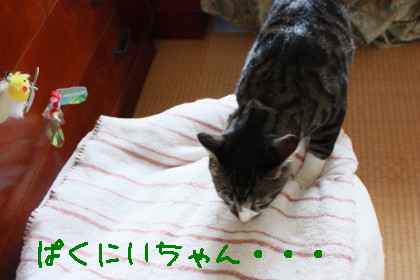 IMG_1652_a.jpg