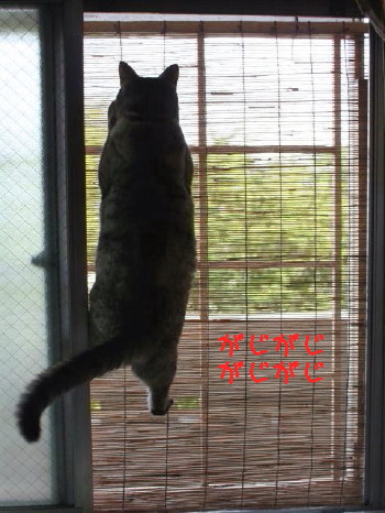 がんばりゅん♪
