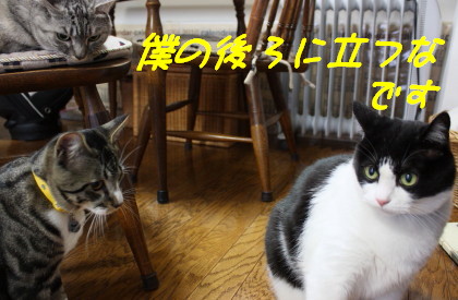 ゴルゴ13