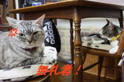 ゴルゴ13