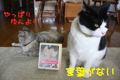 カレンダー2013