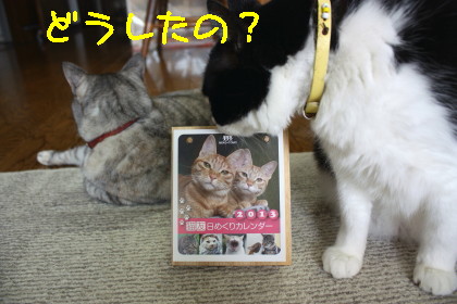 カレンダー2013