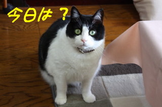 ありがとう♪