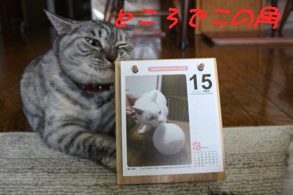 カレンダー2013