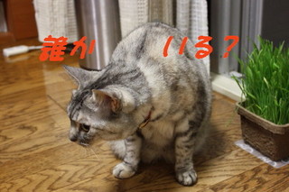ありがとう♪