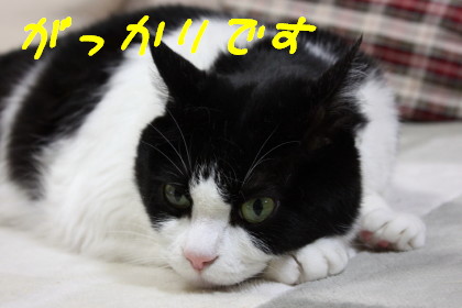 おいおい