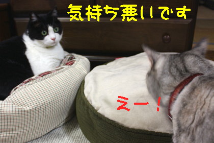 ぐんにゃり