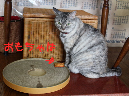 牛乳が!