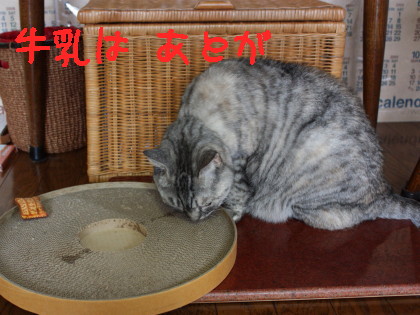 牛乳が!