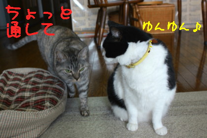 ちゅっちゅ