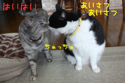 ちゅっちゅ