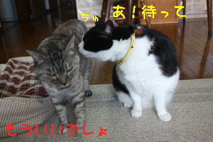 ちゅっちゅ
