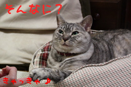 タッチ