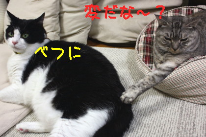 タッチ