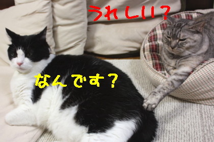 タッチ
