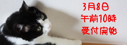 IMG_3960_a.jpg