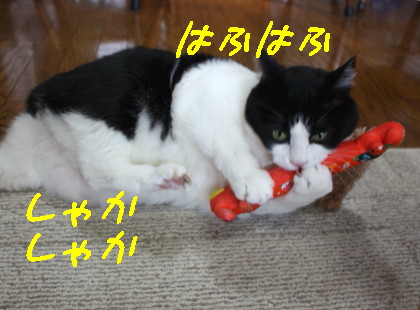 キッカーサイコー