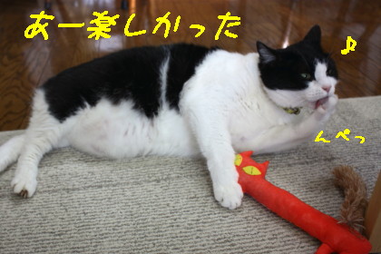 キッカーサイコー