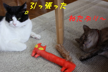 キッカーサイコー