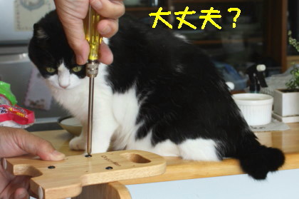 テーブル