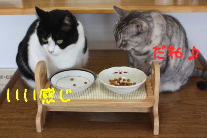テーブル