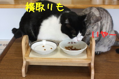 テーブル