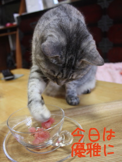 IMG_4606.a.jpg