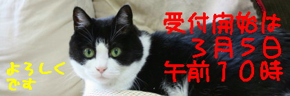カレンダー