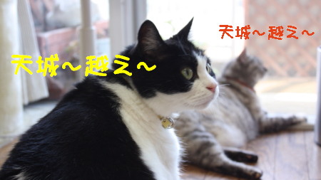 天城越え