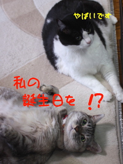 IMG_5281.1_a.jpg