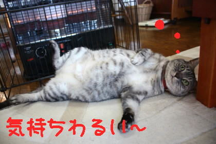 ゆんの背中に