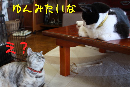 ゆんの背中に